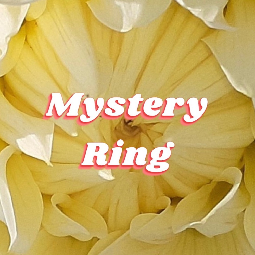 Mystery Ring ~ A Jewelry Surprise shipped to your doorstep!
